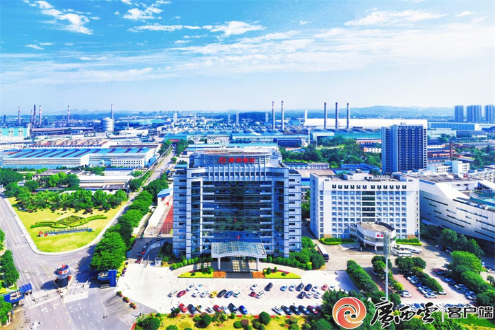 1800366715419267074.jpg 1800366715419267074.jpg